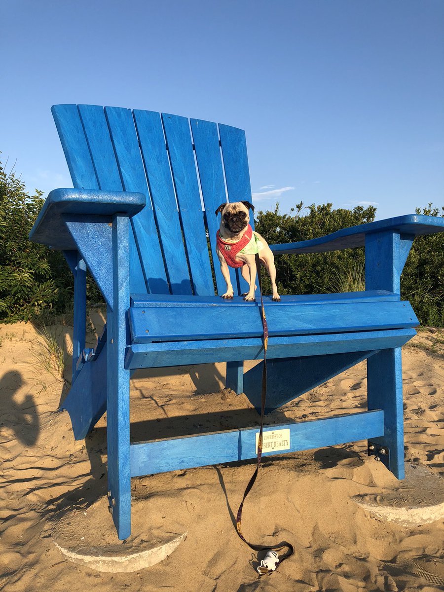 dogtorlarsen's tweet photo. More exploring! Having Monday’s off work is pretty great https://t.co/a05yY4RREw