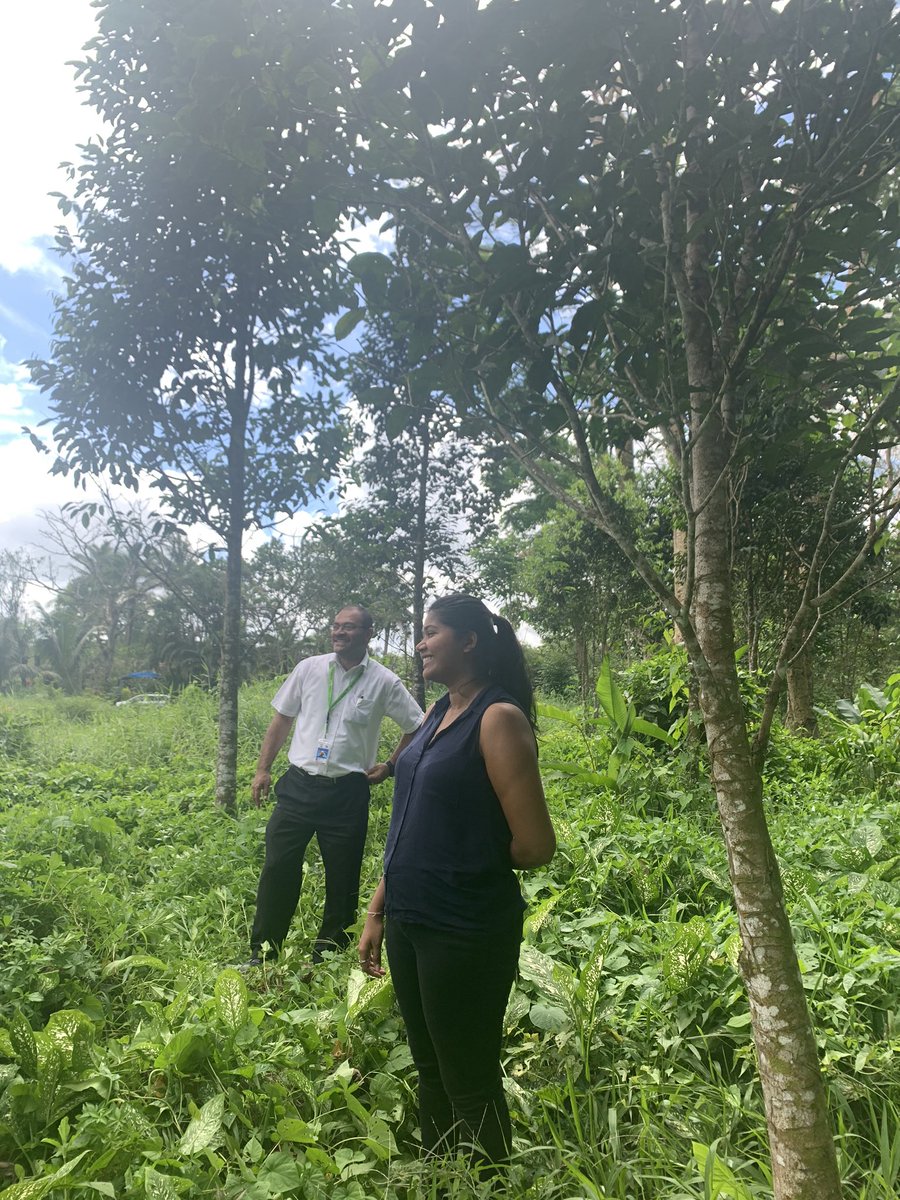 Field discussion and site visit by Minister of Forestry regarding way forward for Forestry Research and Development and possible area of collaboration #SDG17Partnershipforgoals #SDG15LifeonLand @FAOPacific #agarwood @FAOForestry @forestry_fiji