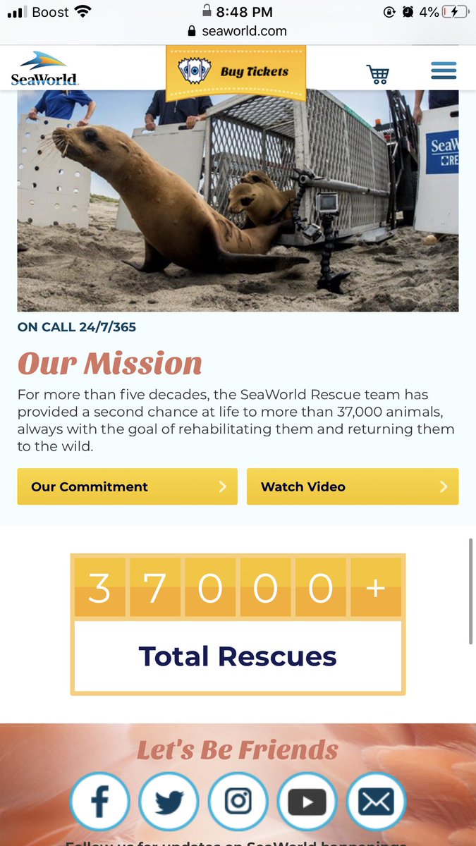 Christo74842234's tweet image. This is why I support this company. For those who say animals don’t belong in captivity, are brainwashed fools that lack knowledge that some of these animals have no choice but to live out their life’s at a place like SeaWorld. Also the government decides what’s best for them!