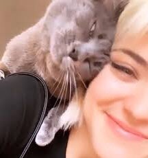 𝓐ura (@cavyexna) on Twitter photo 