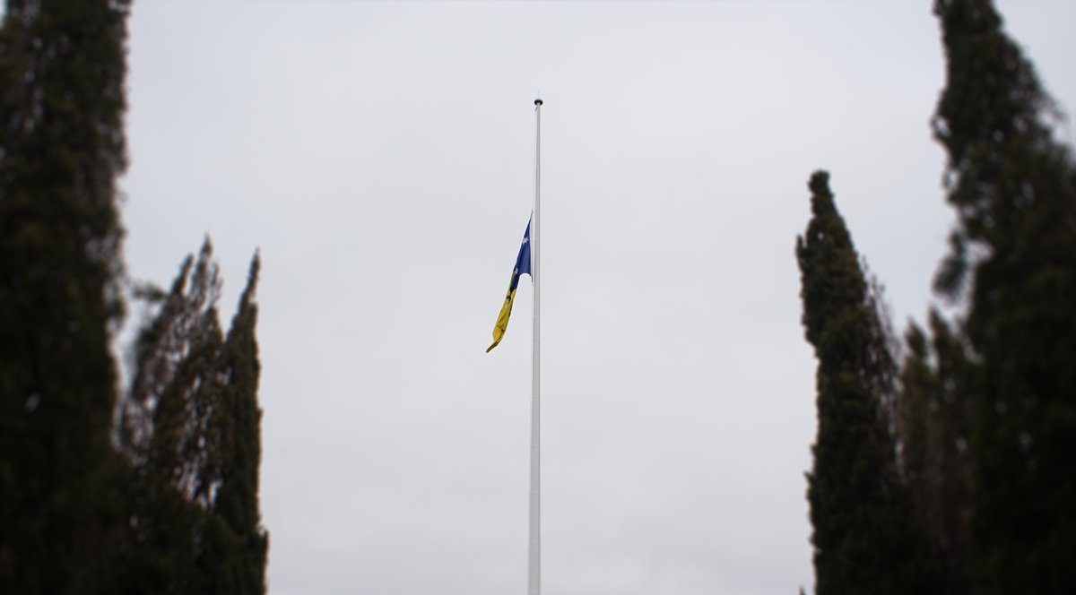 Flags outside the Assembly, on City Hill, and across the Territory are at half-mast today to mark the State Memorial Service for the late Sue Salthouse (<a href="/sudata/">sue salthouse</a>)