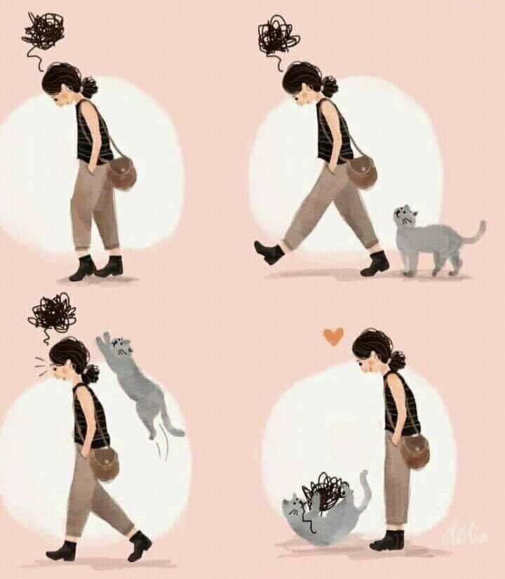 Some Hellcats take care of their humans. @HellcatsAnthol1 #hellcats2020