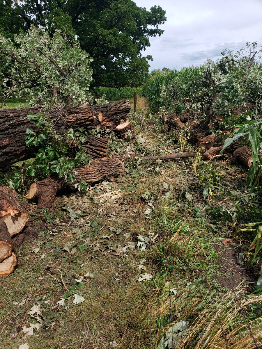 JasonGates1's tweet photo. Spent all day taking trees off fences now we are generating our electricity could be a long week. #toomuchwind https://t.co/ATJudys6K7