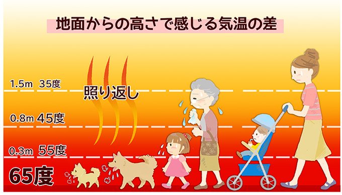 犬の散歩は気温の低い時間に を含むマンガ一覧 ツイコミ 仮