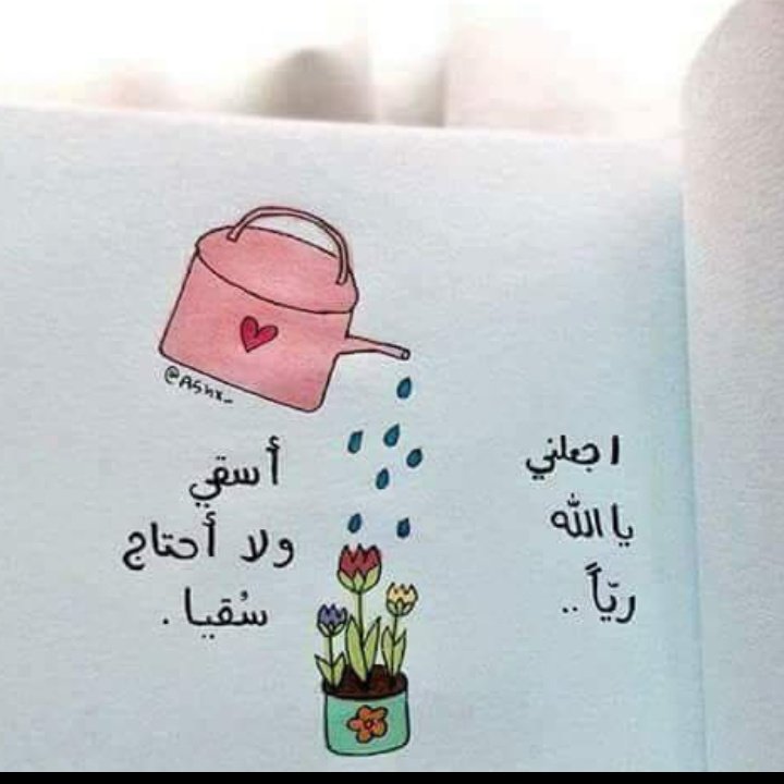 Hend Hamza tweet media