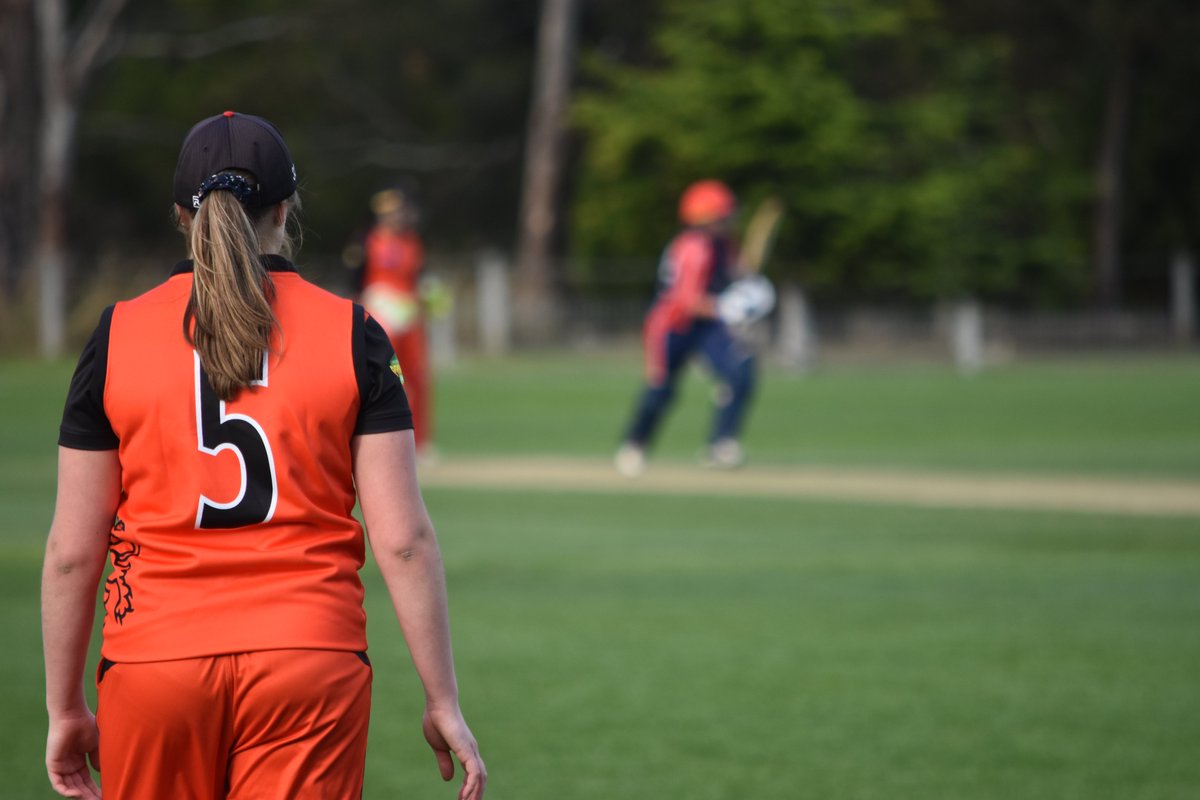 Cricket Tasmania is pleased to release its report into the female Premier League competition. 🏏

READ HERE: bit.ly/FemaleCompRevi…

#WeAreTigers