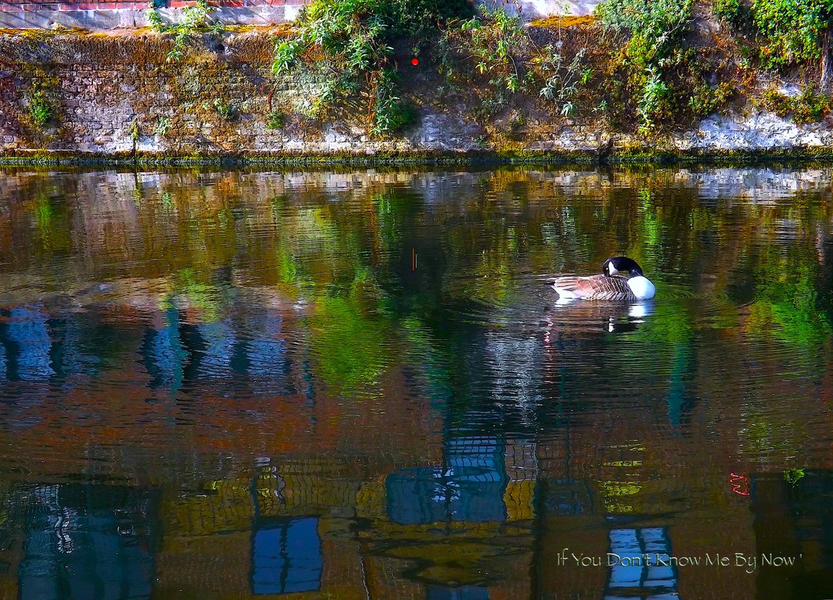 UnbesetztSynth's tweet photo. 'If You Don't Know Me By Now '#VictoriaPark #Stýks #KennethGamble #PhiladelphiaSound #Zero4teen #RobinWilliams #EinKind #PattiLaBelle @haysfizz @drunkenpoet92 @TinSoldiere @VeryRecords ::🌓! https://t.co/83XCCApxzg