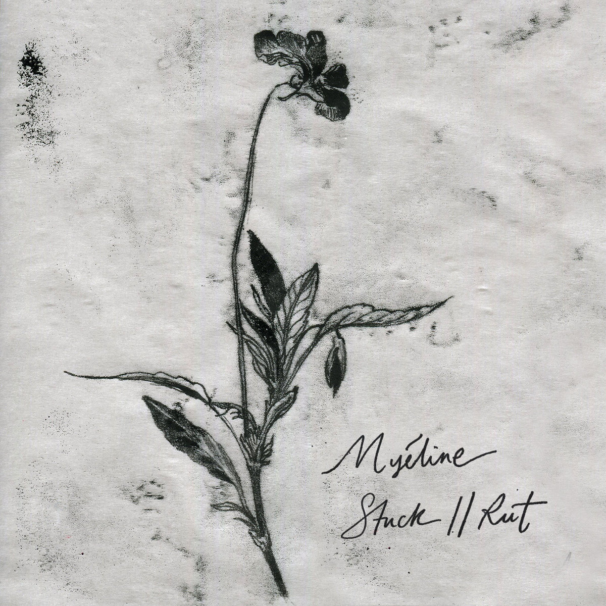 If you are still the kind of person who pays for music, or just prefer bandcamp, I'm here. I have some more stuff ready to go, so hit a follow or something. myeline.bandcamp.com/releases