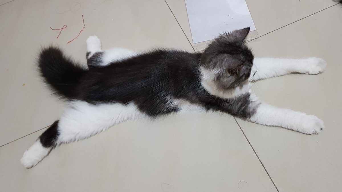 opikecil's tweet photo. Keset baru, Alhamdulillah ~ https://t.co/39DuuePcBf