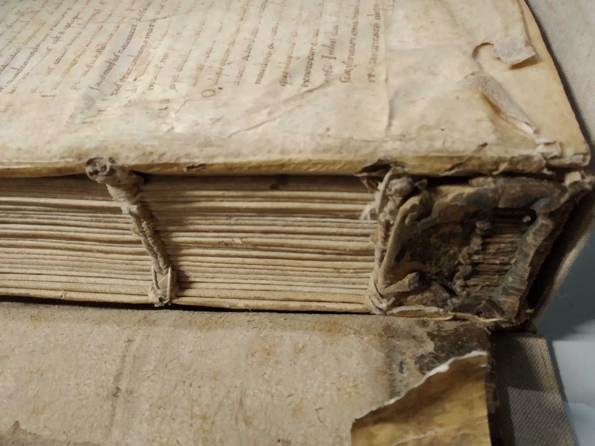 tur_alexandre's tweet image. Manuscrit à assembler soi-même.
Latin 11642 @laBnF #ALaRepro