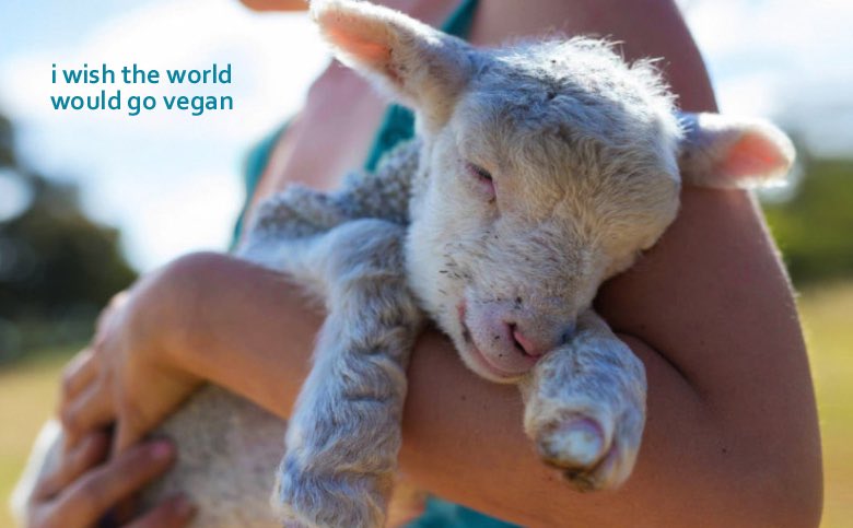 The 1918-1919 pandemic (Spanish Flu), which started on a Kansas chicken farm, killed more, in a few months, than the whole of World War One.
Ebola, HIV, SARS, etc, all came from our use and abuse of animals.
We never learn.
Go #Vegan 🌱🌍
And no one needs to die.