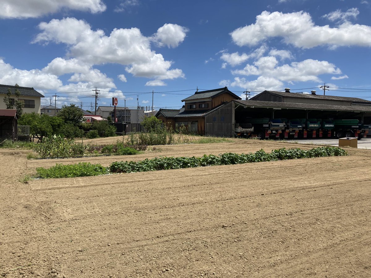 agriaccount's tweet photo. 草刈りして泥上げしてようやくやれためっちゃスッキリした https://t.co/Lyz42uLPFX