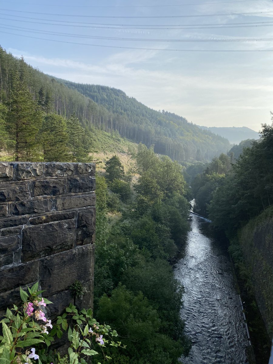 Lucky to live in one the most beautiful parts of the world. Early morning cycling in the Afan Forest with <a href="/tonybowen60/">Tony Bowen</a>