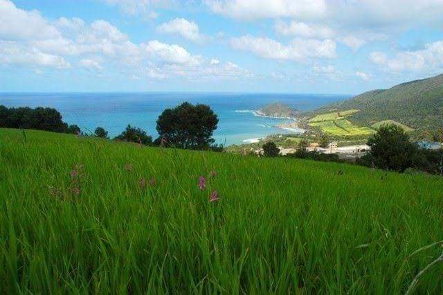 amazingAlgeriaa's tweet photo. #Chelf...oued Goussin....c est tellement beau...🍃💞 https://t.co/WqZaPrExlm