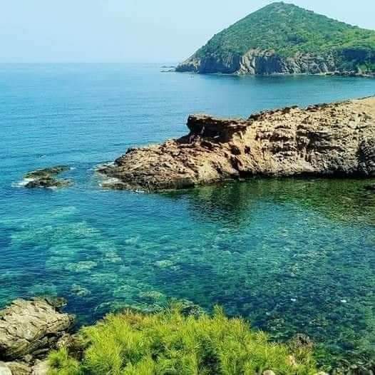 amazingAlgeriaa's tweet photo. #Chelf...oued Goussin....c est tellement beau...🍃💞 https://t.co/WqZaPrExlm