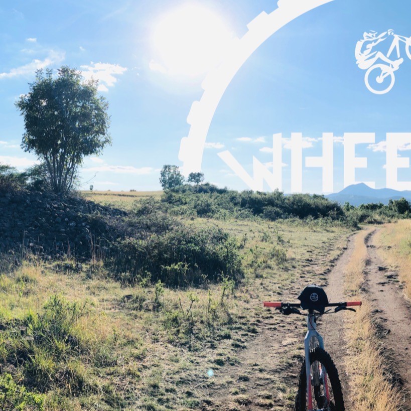 Wheel'In tweet media