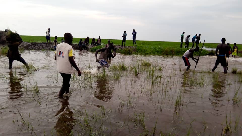 HopeRestoratio3's tweet photo. Current Situation on the on going flooding in #Mayendit - Unity States https://t.co/15Y6UOFnFF