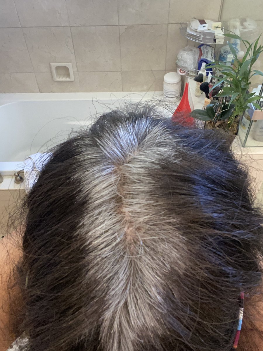 Borntobeguide's tweet photo. Celebrating half a year of abstaining from ... the hair salon. #badhairday #Iwasabrunette
#quarantinethings https://t.co/PmxXajkwxI