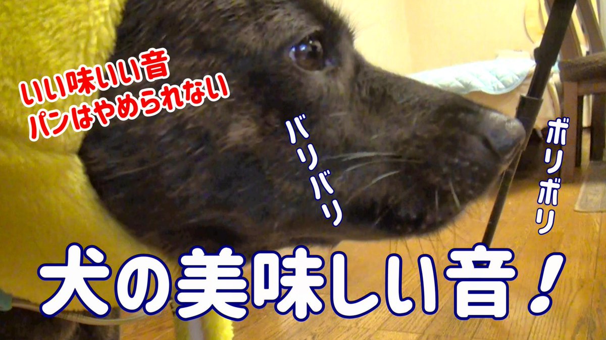 香ばしい音