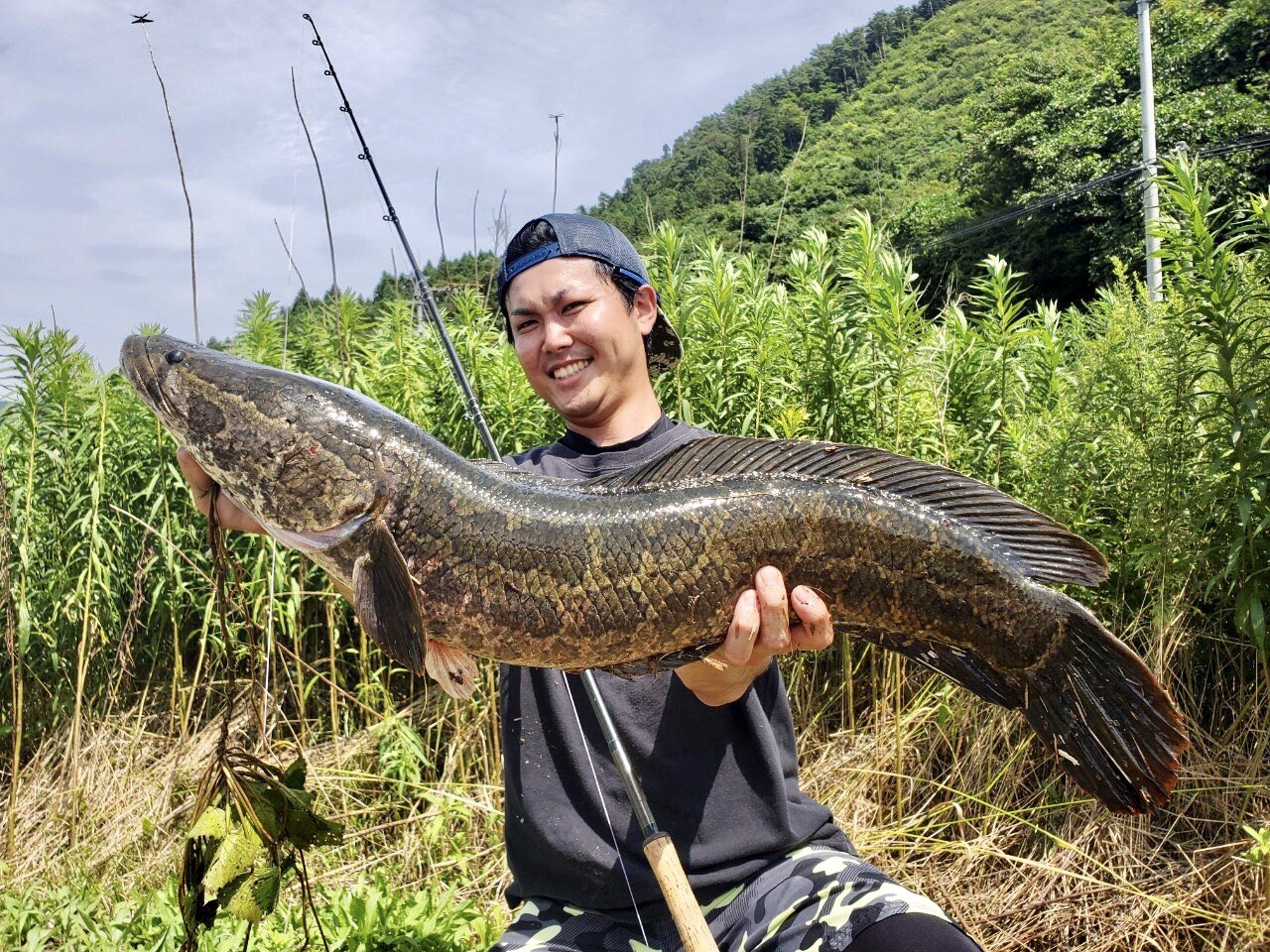 アナハゼティ Anahazeti 夏休み淡水魚編 昨日は久しぶりに大塚さんと一日中釣りへ ライギョ釣りを教えてもらい なんとか私も1本釣ることができました 重かったなー笑 夜はウキゴリをワームで狙って釣りましたが 口がデカくて可愛いですね 夏休み