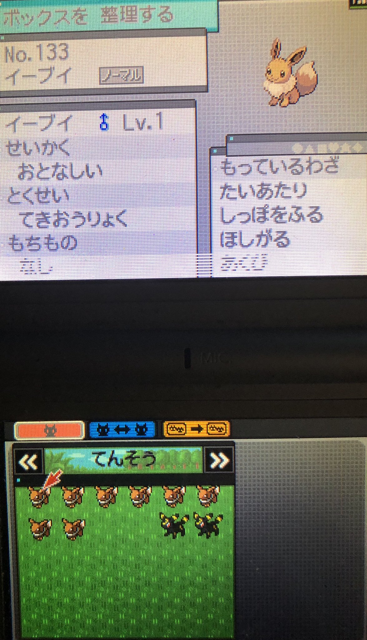 ザッギョ 第五世代ホワイト2 イーブイてきおうりょく をブラッキーに進化させ ブラッキー とかけ合わせたタマゴを8つ孵す ７体がてきおうりょく １体がにげあし T Co Gcyjqhabmt Twitter