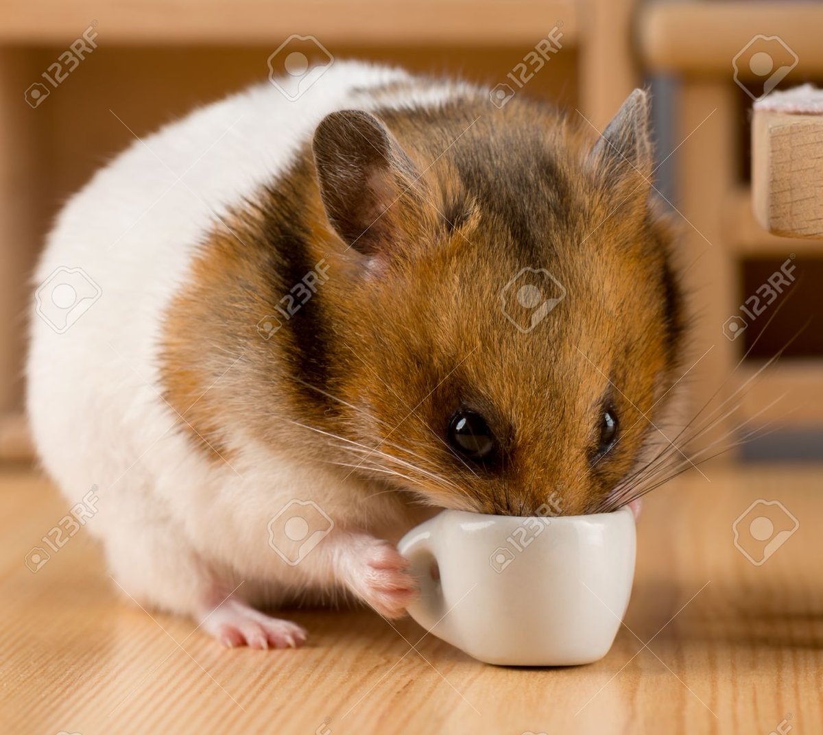 Thirsty bois