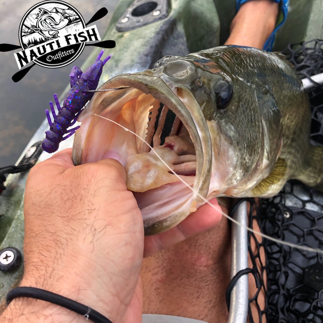 FishNauti's tweet photo. #Kayak #fishing with the  #NautiFish team has been a productive year. Such an awesome veteran owned business getting veterans and our youth on the water kayak fishing. Love this sport. 

https://t.co/UprUU5DM0Z https://t.co/wjpohsVDM3