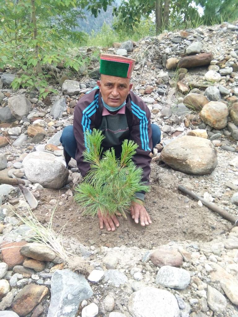 ManavDharam's tweet photo. On auspicious birthday of #Mata_Shri_Amrita_Ji,  #TreePlantation drive conducted  by #Manav_Utthan_Sewa_Samiti #HimachalPradesh to contribute towards environmental protection. 
#NatureWeLove 
#ManavDharam https://t.co/tq1v0n2FKK