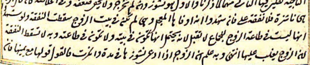 Imām Zaynuddīn ibn Ibrāhīm ibn Nujaym al-Ĥanafī al-Mişrī [926-970 AH / 1520-1563 CE] wrote in Baĥr ar-Rāyiq:“Even if it were seen that she was sexually disobedient to her husband, [his claim that she is a nāshizah and that he does not have to maintain her] is not accepted;