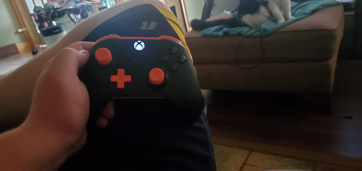 TheReaperFoxx's tweet image. New controller, fucking loving it! #xboxdesignlabs #XboxOne
