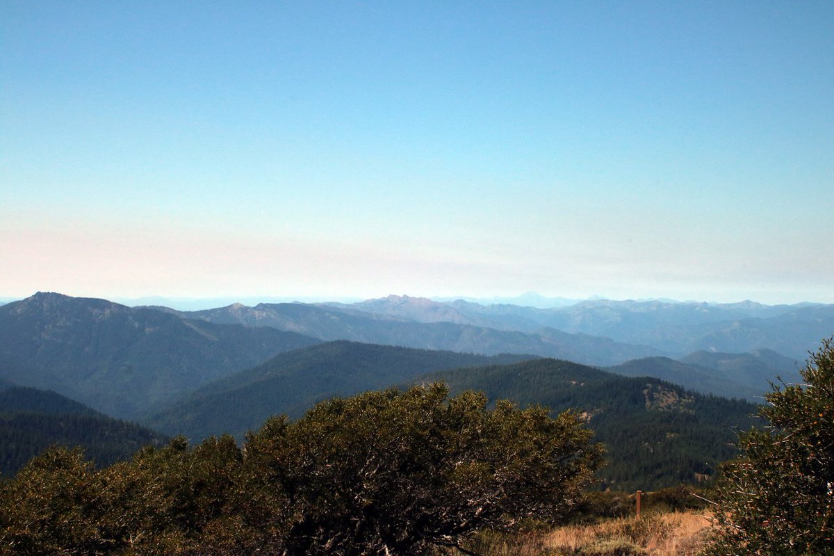 matthoffmanwx's tweet image. The #RedSalmonComplex put out quite a bit of smoke today across Siskyou County. Here's a photo looking south at the smoke from Dutchman Peak. I'll have an update on your smoke forecast @ 11. #StormWatch12

📸: Tom Pratum