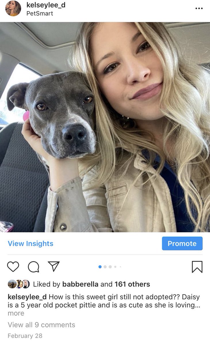 KelseyLee_D's tweet photo. In case you want to know what it’s like being a woman on social media. 🧐

He stalked my post from 6 months back because I corrected his grammar after he offered the amazing advice of “fuck women’s rights” to me 🥴

Come after me all you want but LEAVE DOGS OUT OF IT! 😤 https://t.co/R2UtDTF0A0