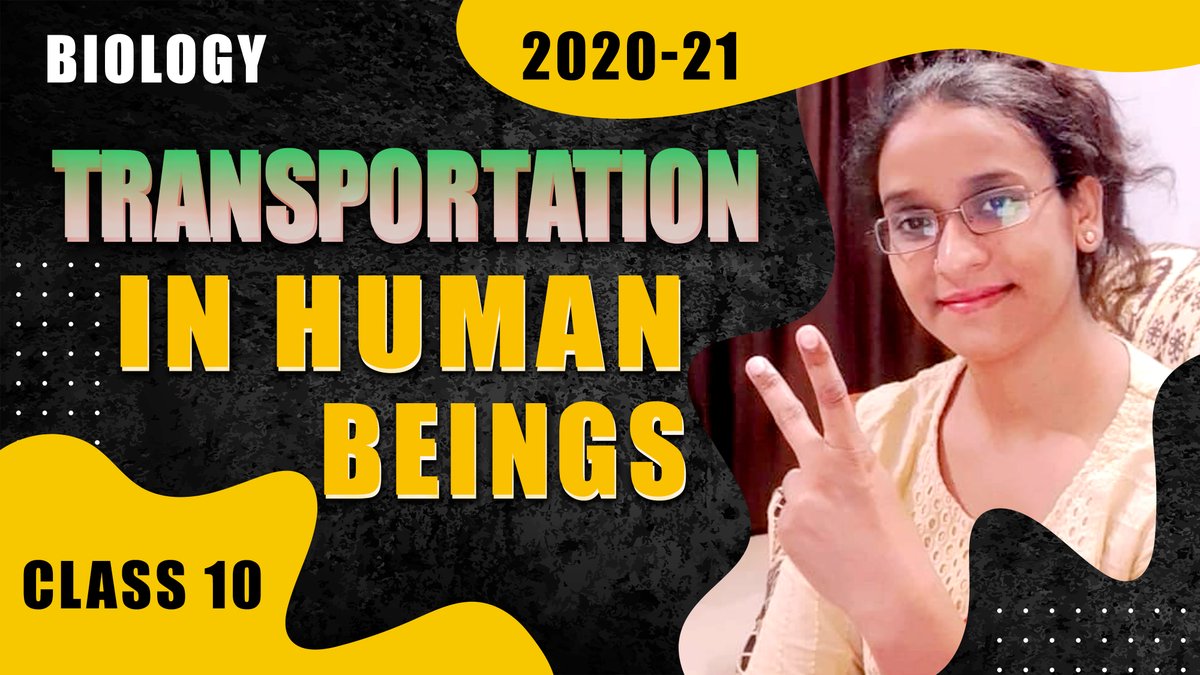 Transportation in Human Beings | Class 10 Biology  | by Jyoti Singh
What is heart function? how to draw a heart diagram? what is double circulation? structure of heart all of these types of questions are discussed in this awesome video. 

Type on YouTube -  aisa ho education