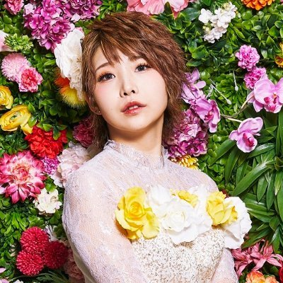 ピツジ Twitter Search