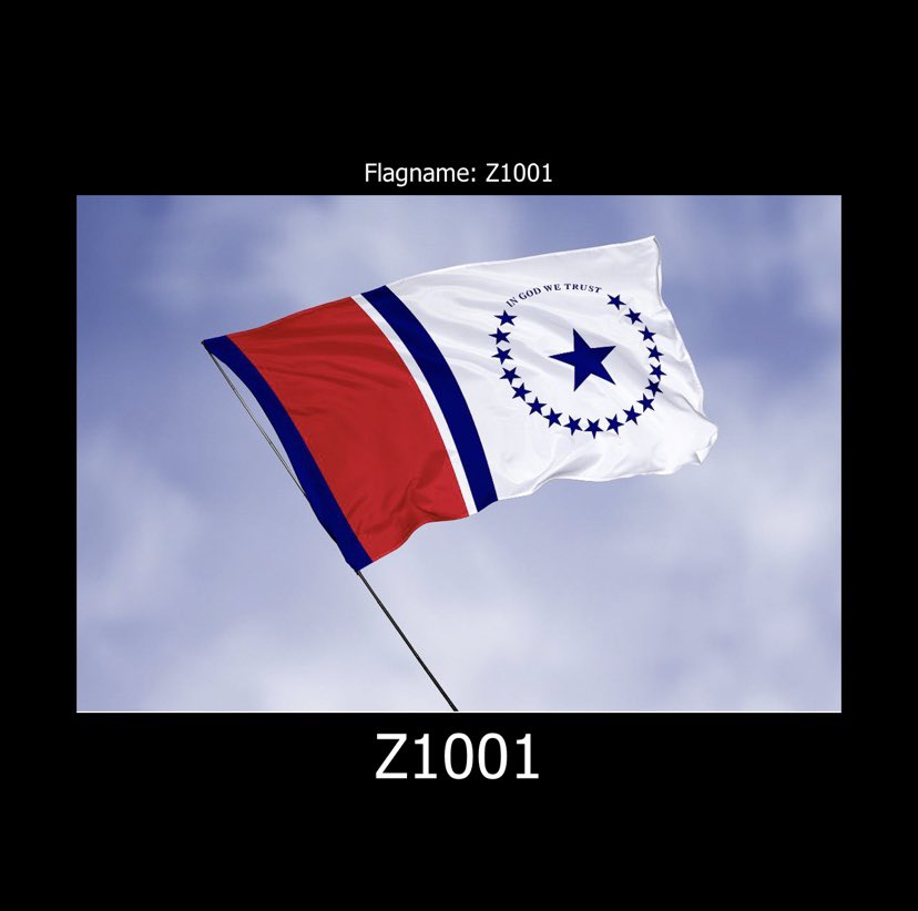 Z1001 just fucks you right into the stratosphere with an image of a flag flying against a background sky to be printed on a flag to be flown against a real ass sky. Z1001 is just short for “Mississippi inception”  #msleg  #MSflag