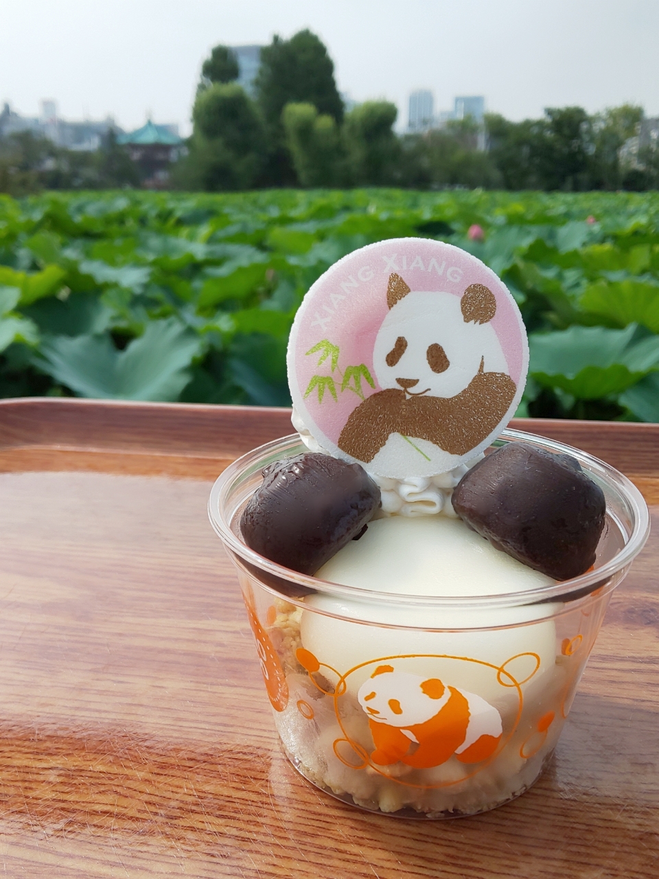 アイス大好き♡パンダ