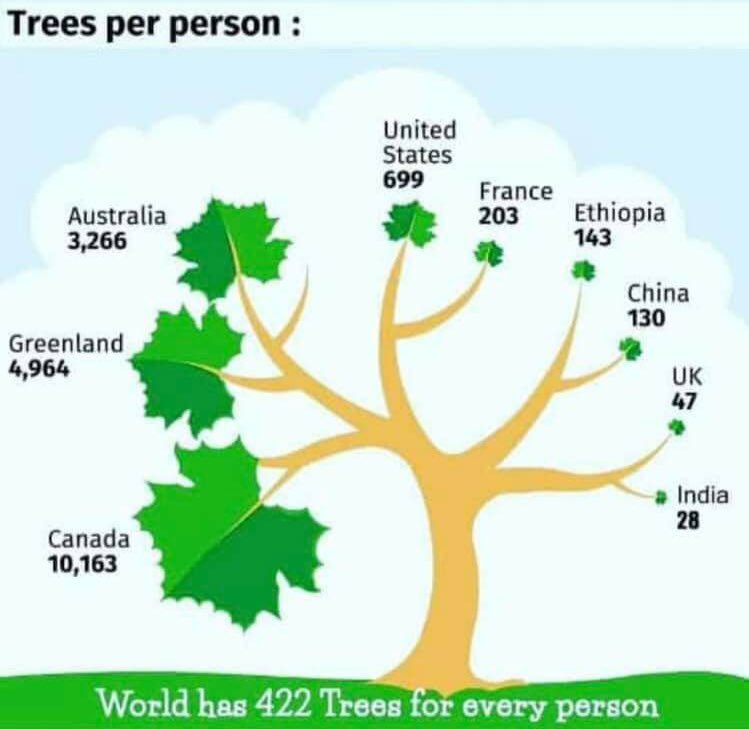 Why do we need to plant and preserve more trees in India? Look at this pic below 👇

#HarithaHaaram 
#EachOnePlantOne 
#GreenIndia