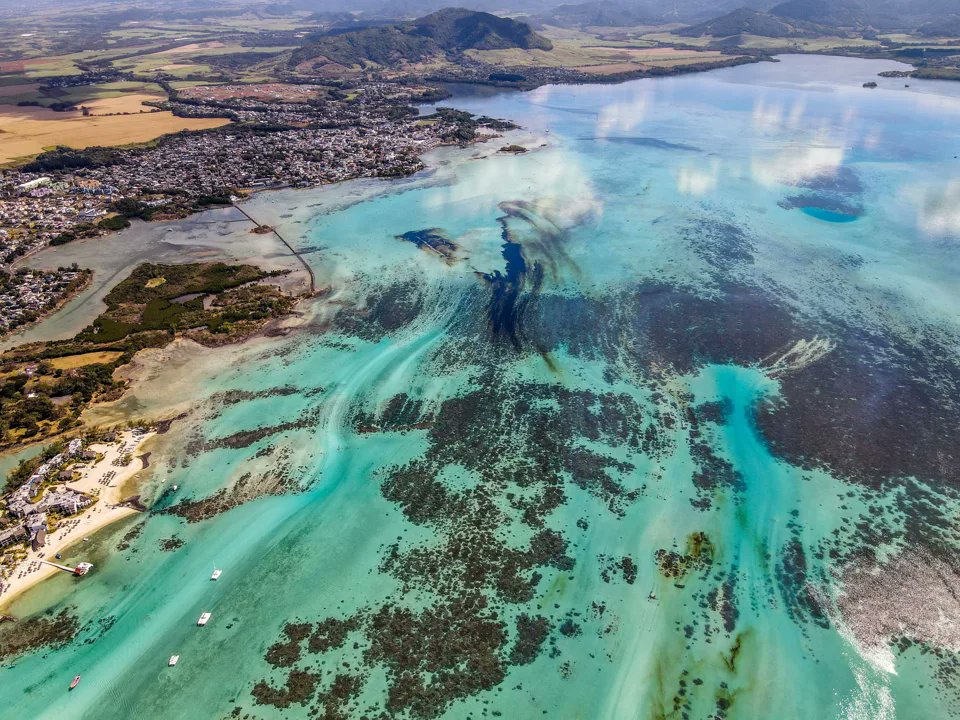 Mauritius Island tweet media