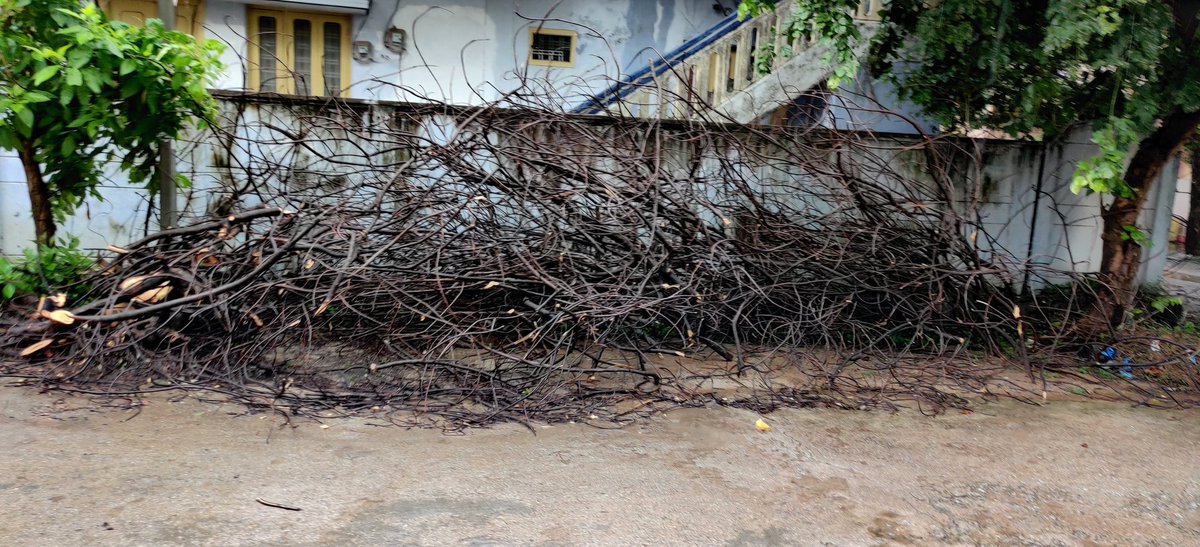 Y C S Reddy tweet media