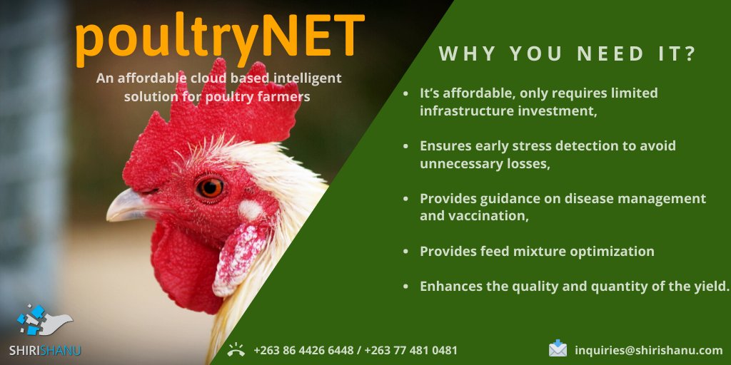 shirishanu's tweet photo. @babatafi @jahman_adamski @basera_john Hi @babatafi, Great work indeed, Please checkout our affordable #4IR solution to digitally transform your poultry house.  Please contact us on inquiries@shirishanu.com for more information. #poultryNET https://t.co/4LphUH8cCH