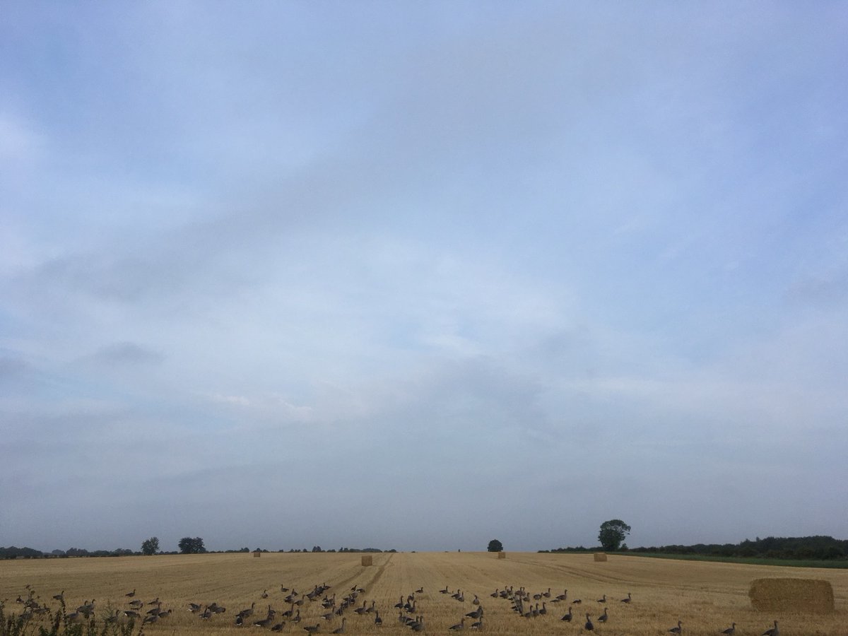 Definitely still feeling a bit ropey but dragged myself out for a run.