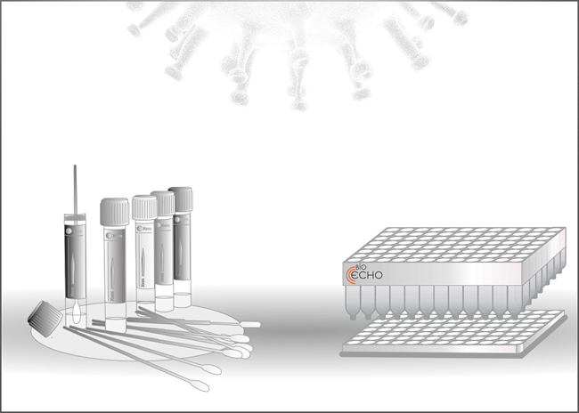 Despite the #heatwave, #Bioecho is currently working intensively on the production of the new “Viral RNA isolation Kits”.Thousands of #Covid-19 analyses per day are no longer a problem. For more information please contact us at news@bioecho.de
