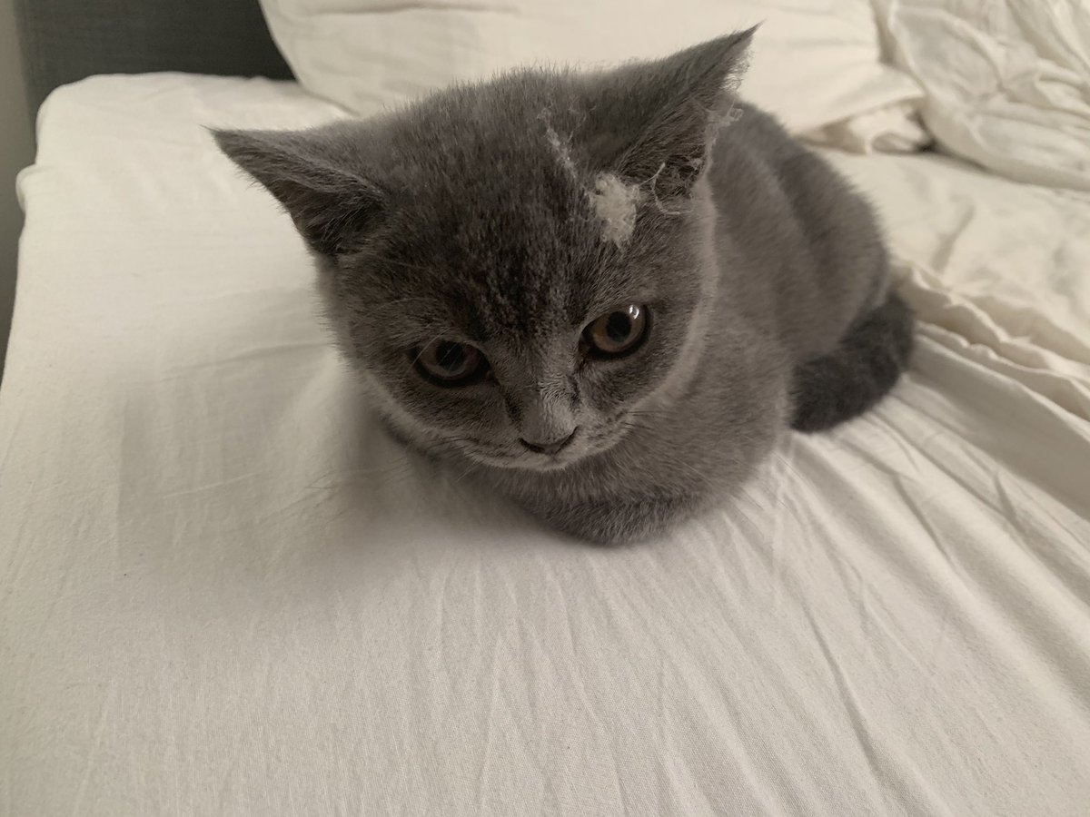 Ruud ten Wolde tweet media