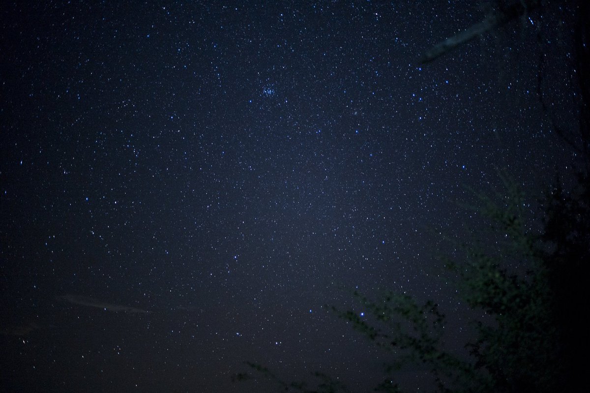 Nikolaus Ostermann tweet media