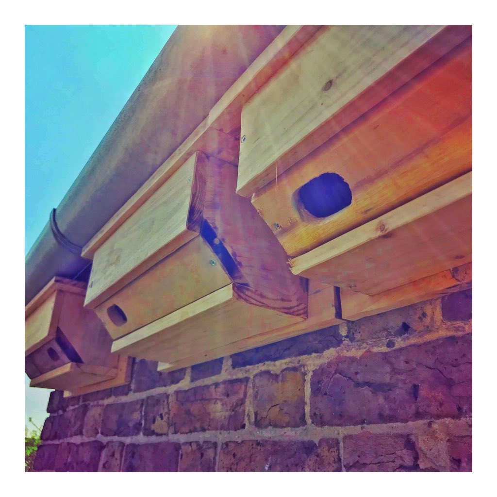 MalcolmHandyman's tweet photo. Unlike #whitstable #airbnb these recently fitted nesting boxes have been occupied since spring.
#oddjobman #handyman #nojobtosmall https://t.co/k0S3adXNzh