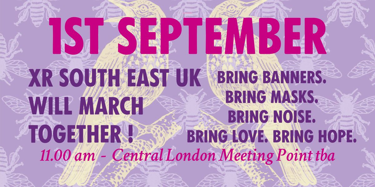 IMPORTANT Rebellion Announcement 🥁 XR South East UK will march together. 11.00am, Tuesday September 1st to Parliament Square, from a central location (tba). Bring Noise, Bring Colour. Bring Flags. Bring masks. Bring Sanitiser. Bring Art. Bring Love. Bring Hope. Bring a friend.