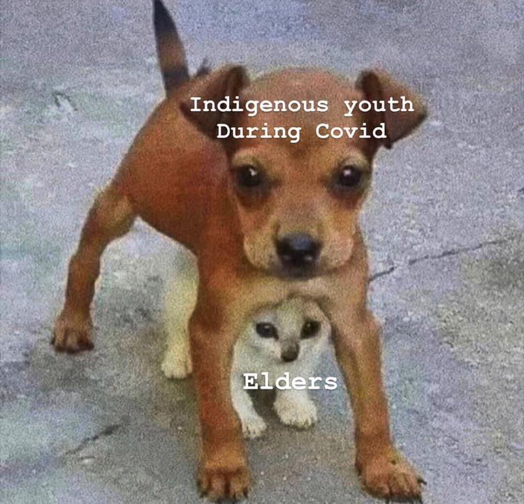 IIYCfamily's tweet photo. 🥺 accurate! ⁣
⁣
#Covid19 #IndigenousYouth #Elders #NativeMemes https://t.co/er1yTSE18x