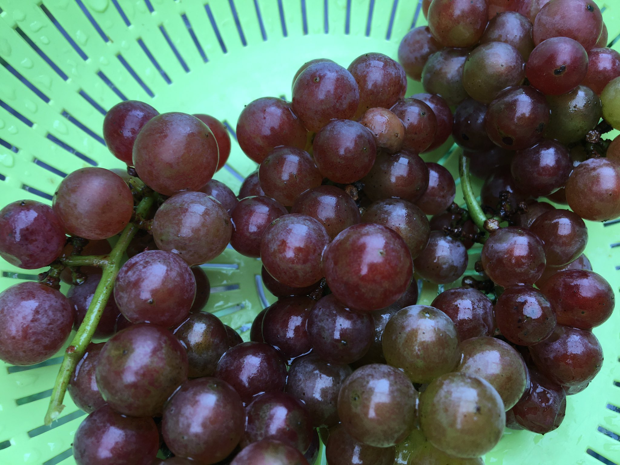 も 世界 Mookimsekai Twitter