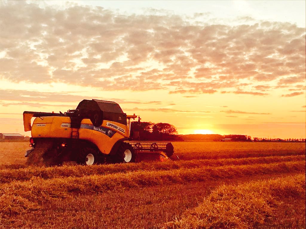 Wat een mooi seizoen de graanoogst 2020.