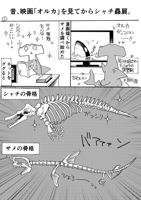 シャチ を含むマンガ一覧 ツイコミ 仮 シャチ を含むマンガ一覧 ツイコミ 仮